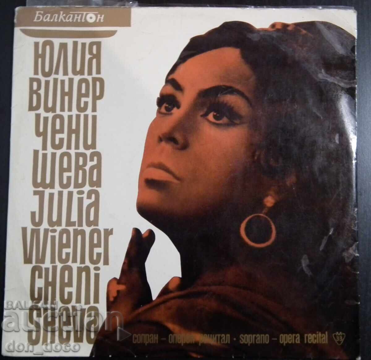 Юлия Винер Ченишева Юлия Винер Ченишева