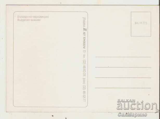 Map Bulgaria Bulgarian Black Sea Coast View 17* with price 0.70 BGN | € 0.36 Map Bulgaria Bulgarian Black Sea Coast View 17* with price 0.70 BGN | € 0.36