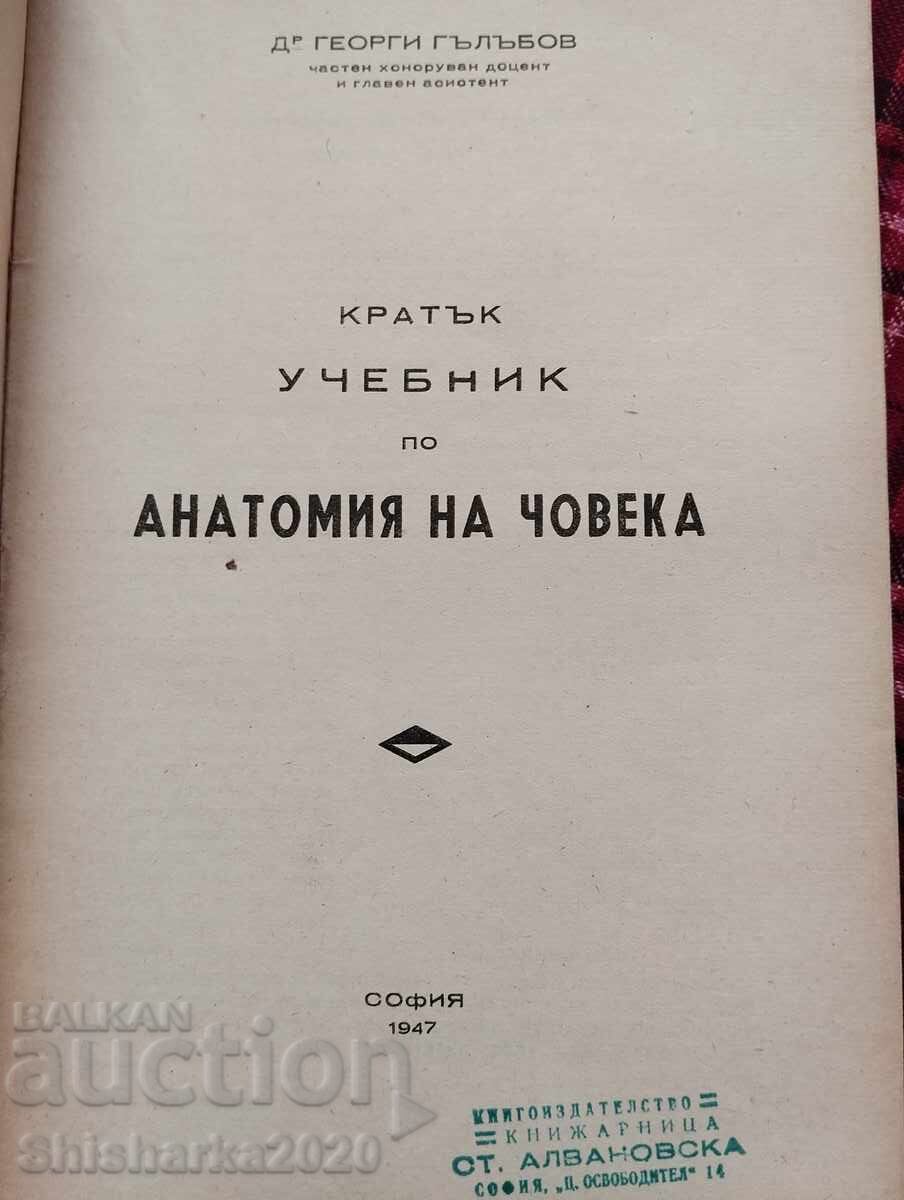 A short textbook on human anatomy with price 20.00 BGN | € 10.23 A short textbook on human anatomy with price 20.00 BGN | € 10.23