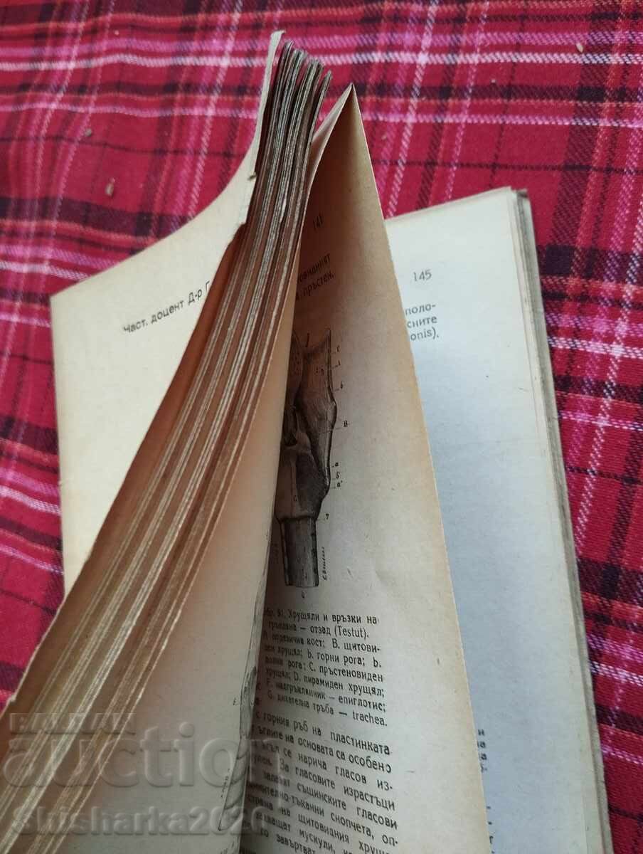 Delivery of A short textbook on human anatomy Delivery of A short textbook on human anatomy