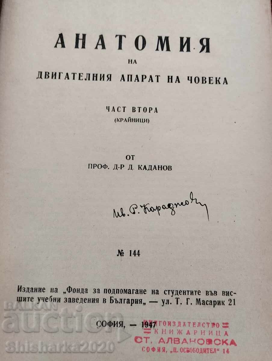 Anatomy of the human musculoskeletal system with price 30.00 BGN | € 15.34 Anatomy of the human musculoskeletal system with price 30.00 BGN | € 15.34