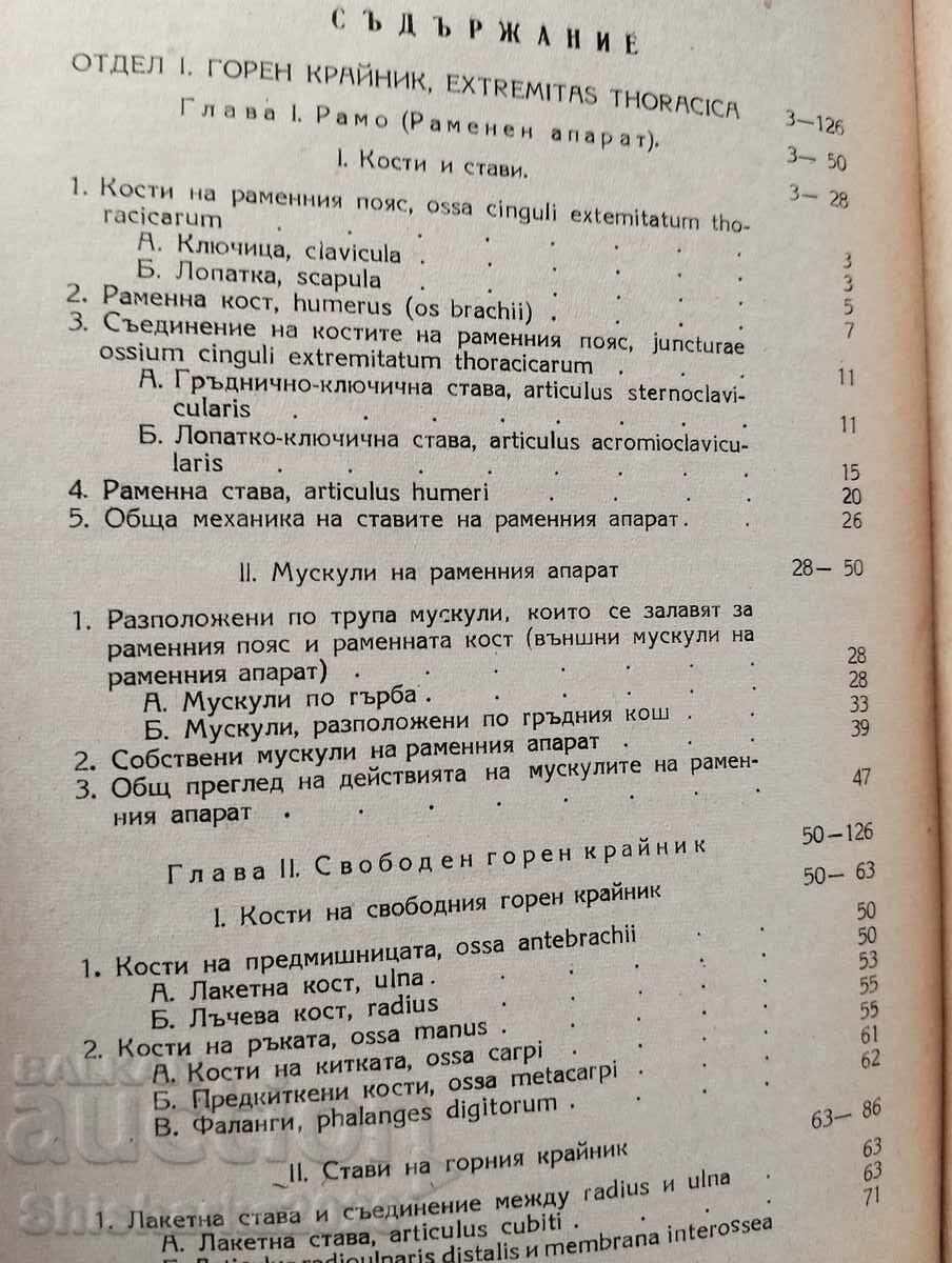 Delivery of Anatomy of the human musculoskeletal system Delivery of Anatomy of the human musculoskeletal system