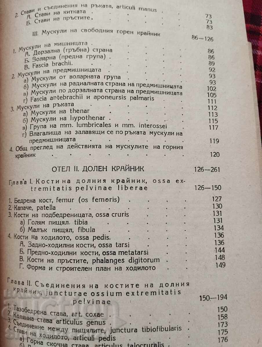 Anatomy of the human musculoskeletal system - 5 Anatomy of the human musculoskeletal system - 5