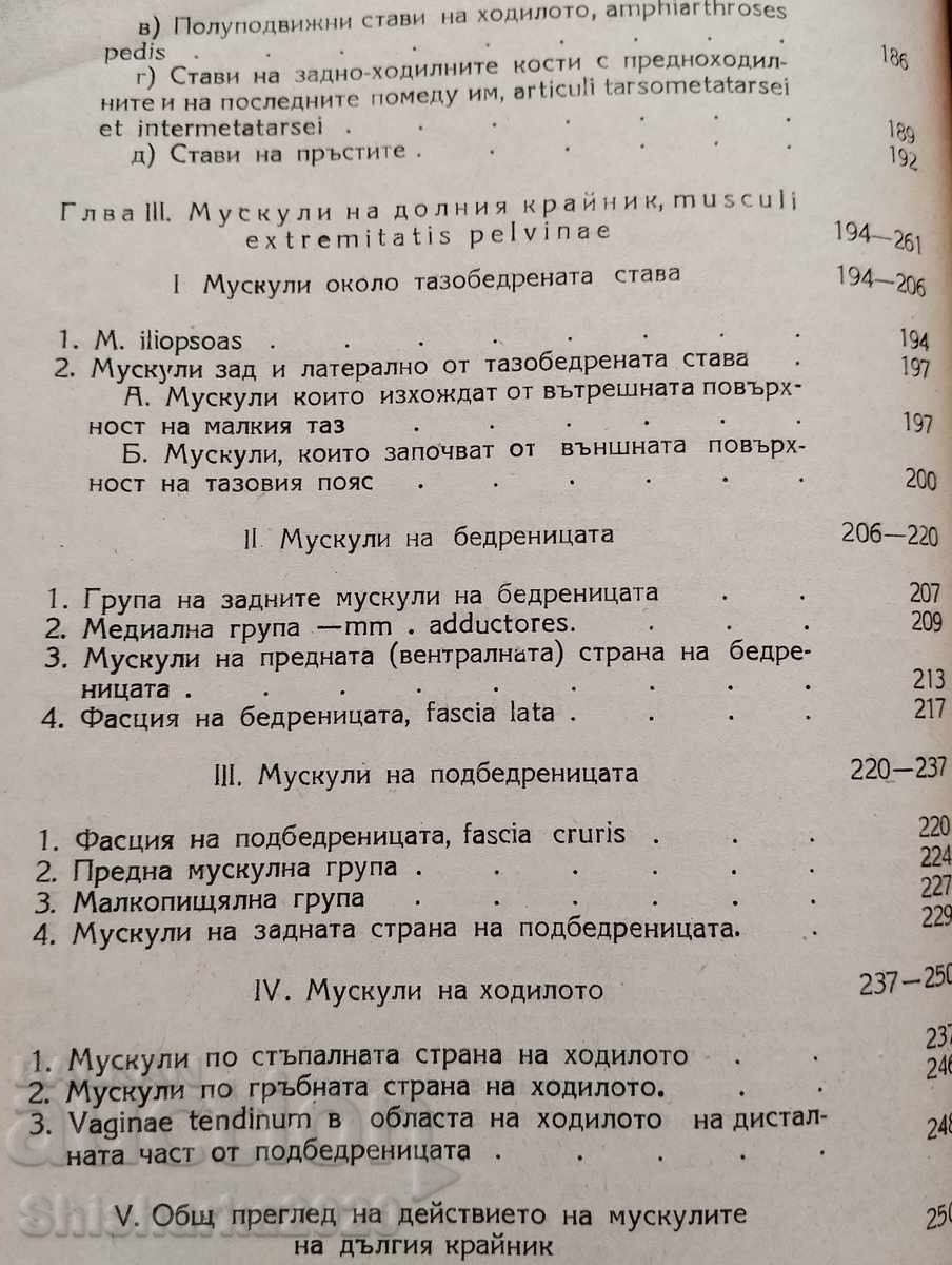 Anatomy of the human musculoskeletal system - 6 Anatomy of the human musculoskeletal system - 6