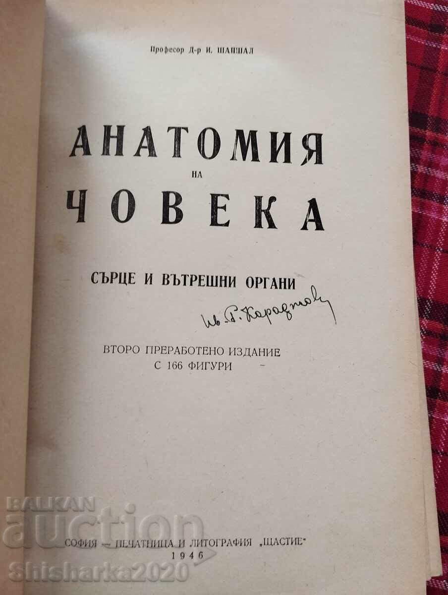 Human Anatomy - Heart and Internal Organs with price 12.00 BGN | € 6.14 Human Anatomy - Heart and Internal Organs with price 12.00 BGN | € 6.14