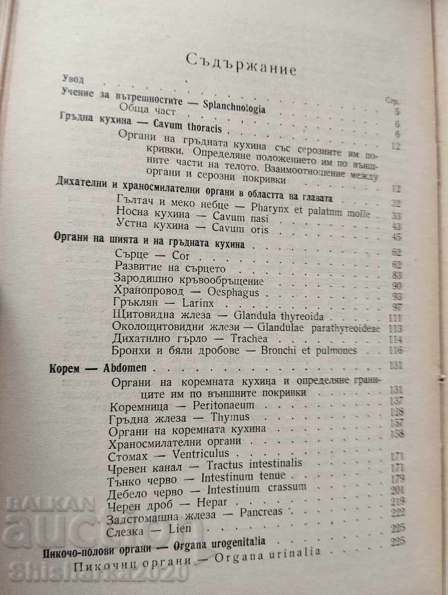Human Anatomy - Heart and Internal Organs - 5 Human Anatomy - Heart and Internal Organs - 5