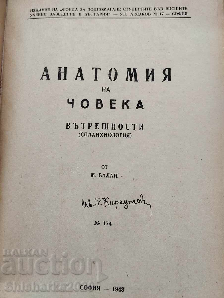 Human Anatomy - Internal Organs with price 15.00 BGN | € 7.67 Human Anatomy - Internal Organs with price 15.00 BGN | € 7.67