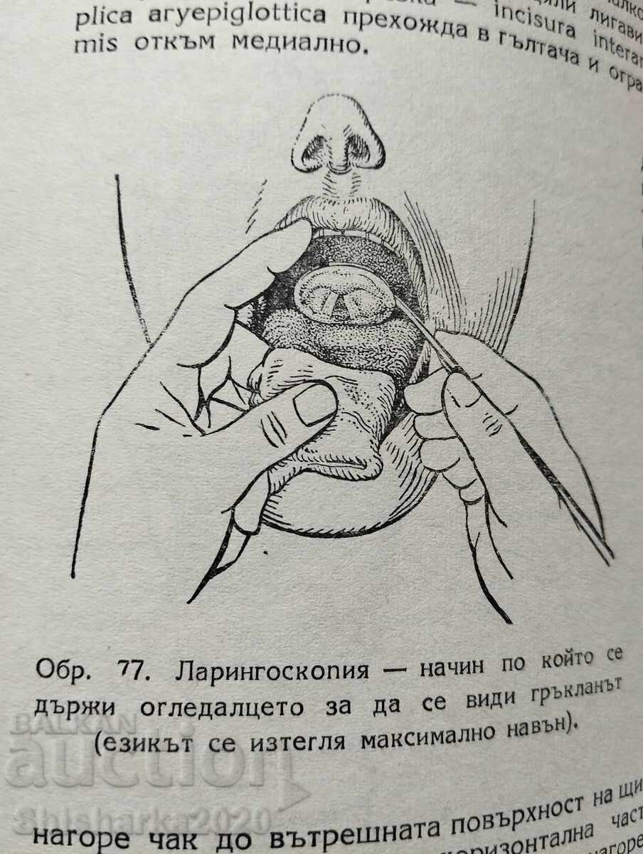 Auction Human Anatomy - Internal Organs Auction Human Anatomy - Internal Organs
