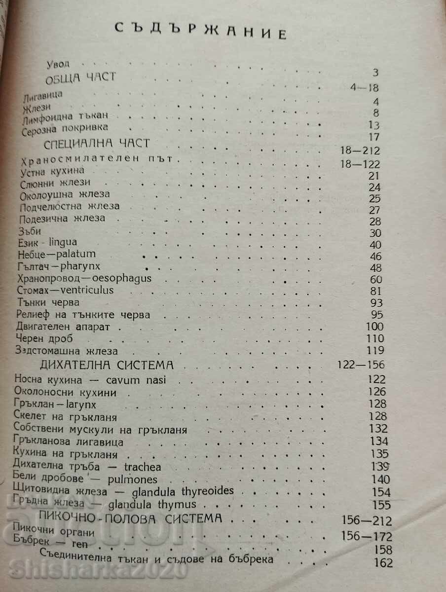 Delivery of Human Anatomy - Internal Organs Delivery of Human Anatomy - Internal Organs