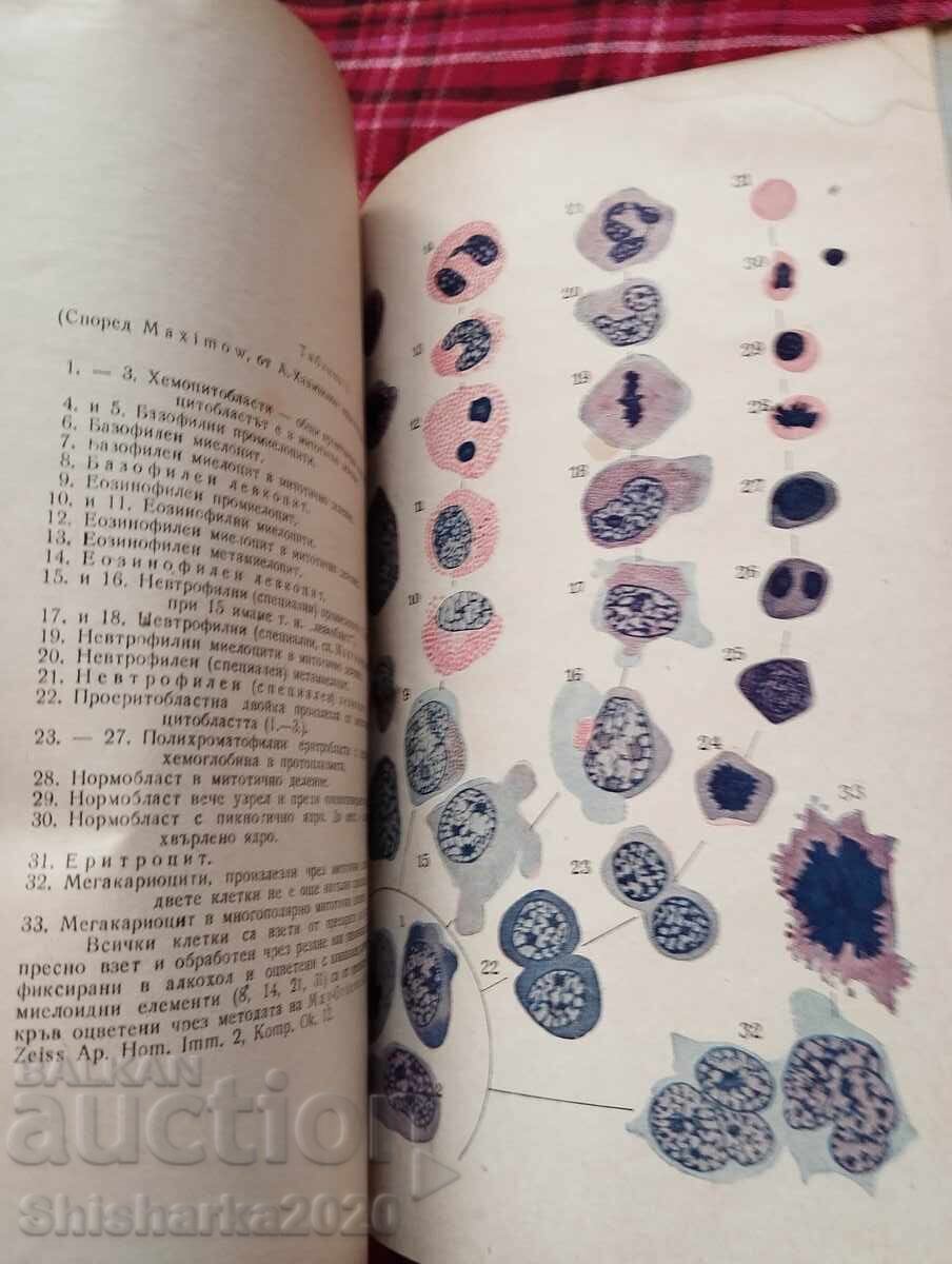 Auction Textbook of Histology Volume 1 Auction Textbook of Histology Volume 1