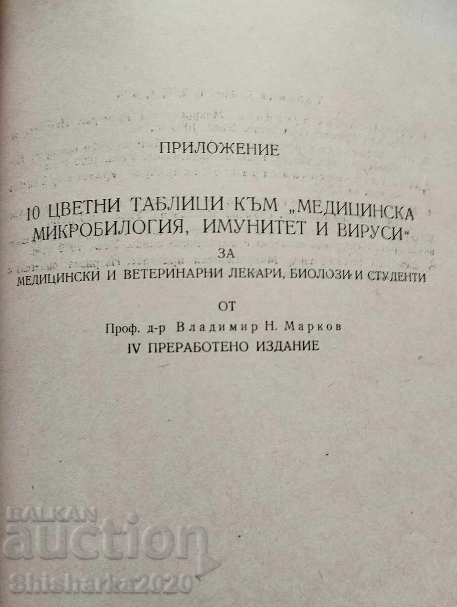 Medical microbiology immunity and viruses - 7 Medical microbiology immunity and viruses - 7