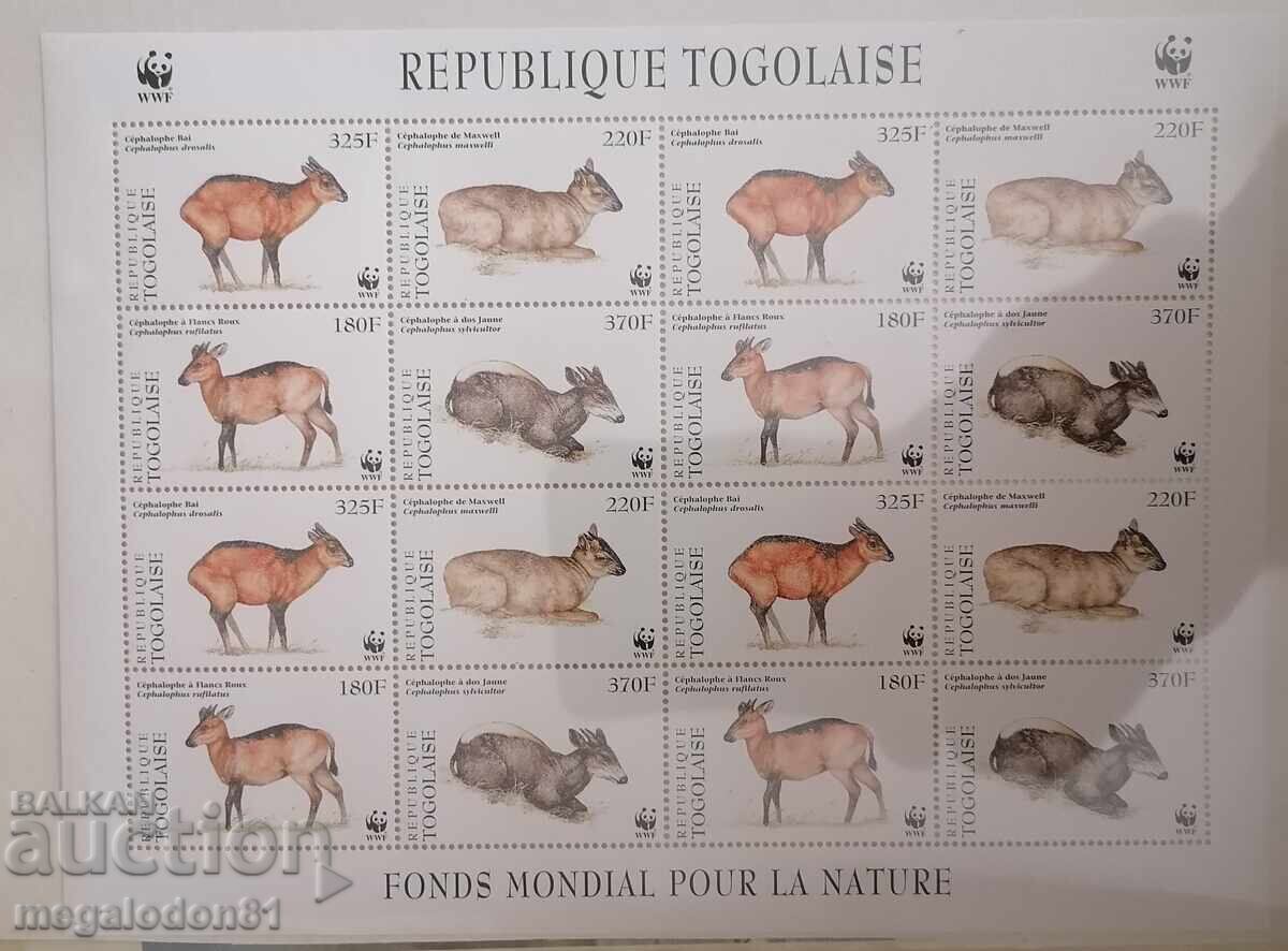 Togo - WWF fauna, duiker antelopes