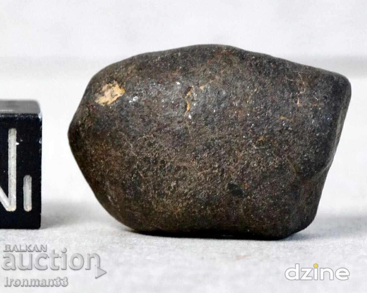 Meteoritul NWA xxxx Meteoritul NWA xxxx