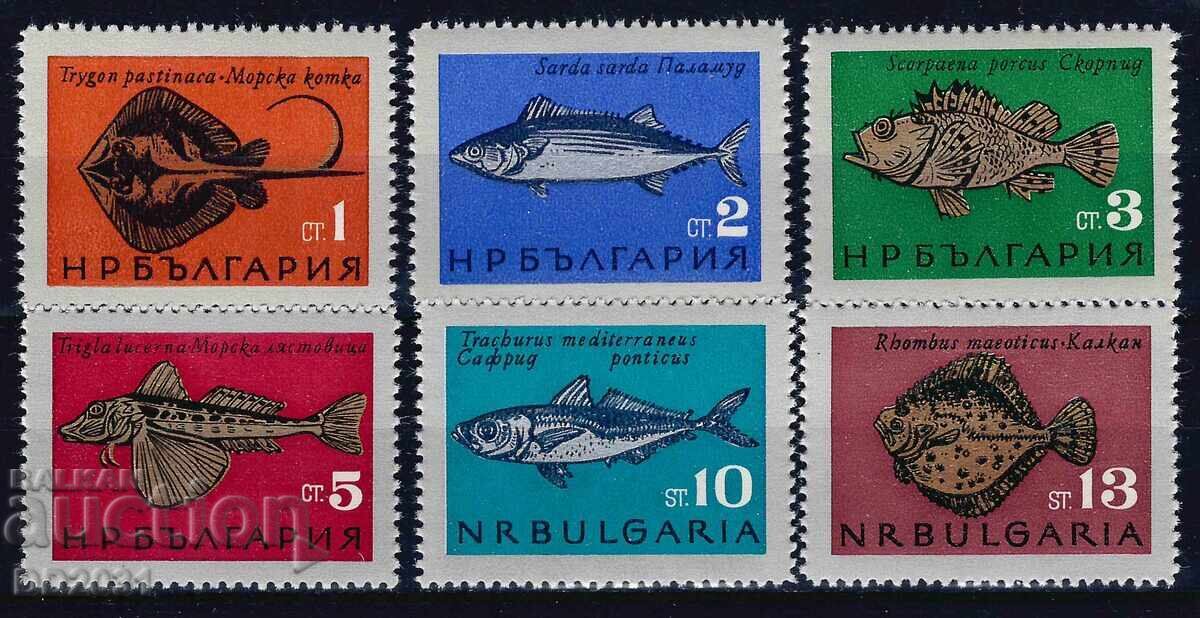Bulgaria 1965 - fish MNH Bulgaria 1965 - fish MNH