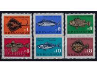 Βουλγαρία 1965 - ψάρι MNH