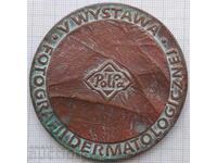 18362 Plaque - Dermatology Clinic Dublin Poland 1976 - copper