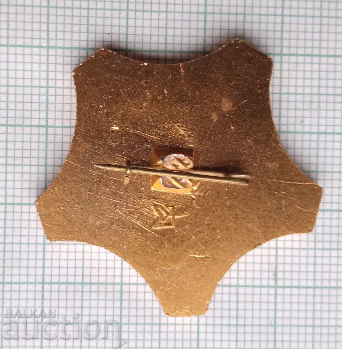 Auction  18385 Badge - Friendship USSR Czechoslovakia