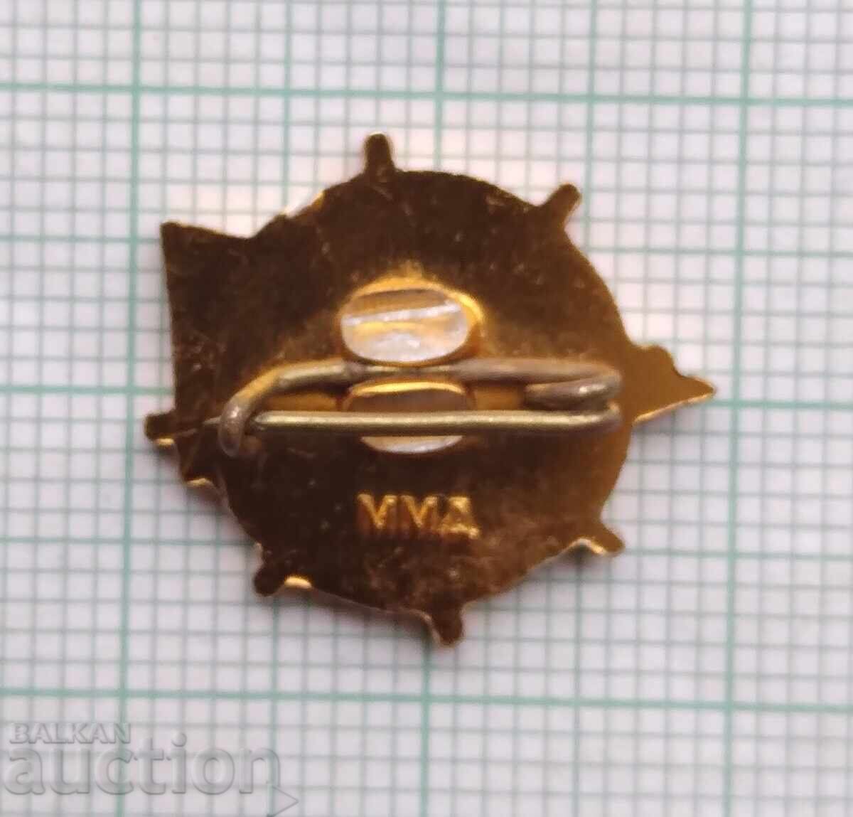 Auction 18387 Badge - USSR Navy Auction 18387 Badge - USSR Navy