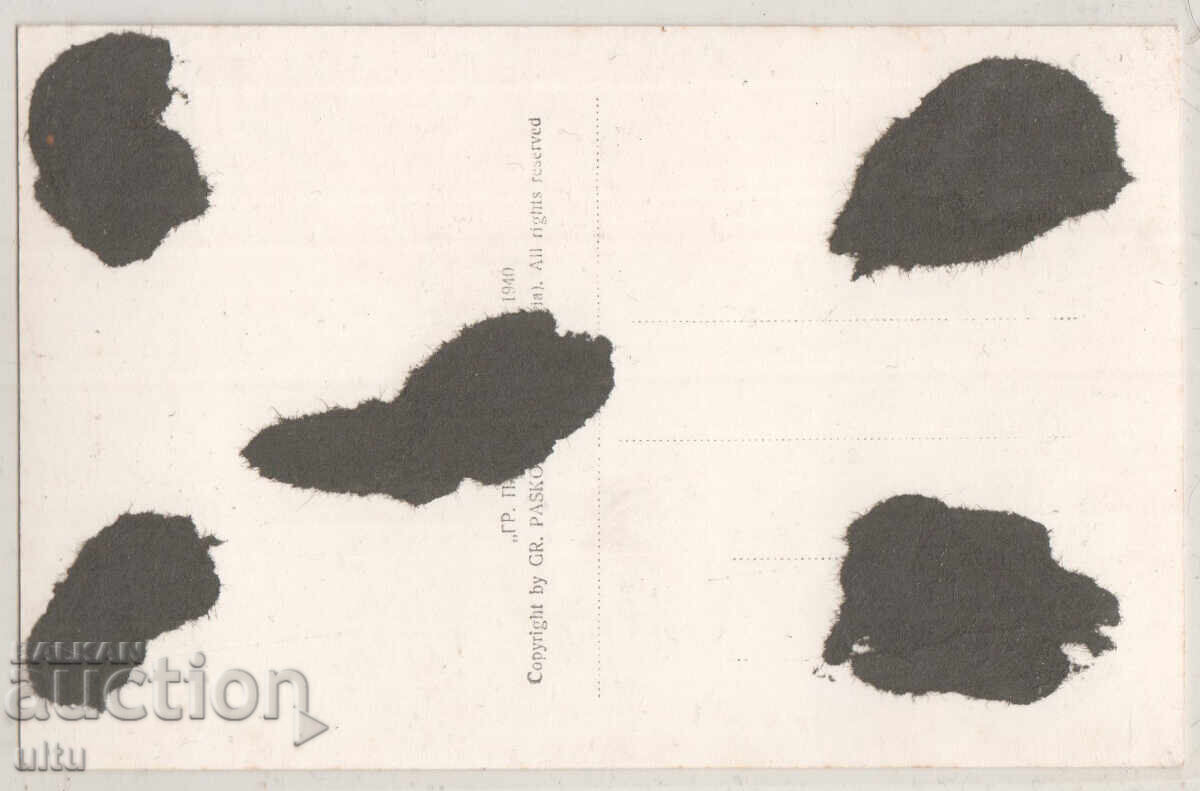 Bulgaria, Dupnitsa, corner of the City Garden, untraveled with price 24.90 BGN | € 12.73 Bulgaria, Dupnitsa, corner of the City Garden, untraveled with price 24.90 BGN | € 12.73