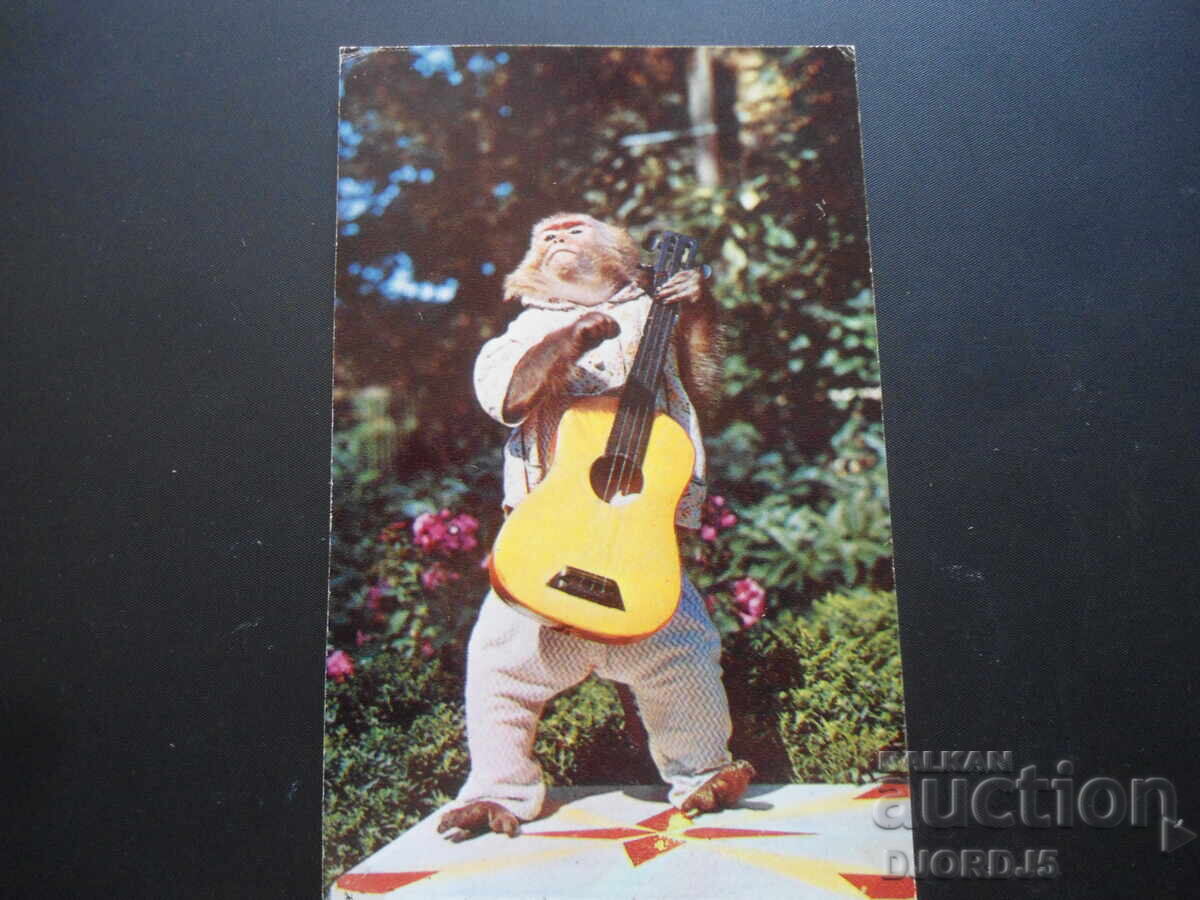 Masha the guitarist, Old Russian postcard Masha the guitarist, Old Russian postcard