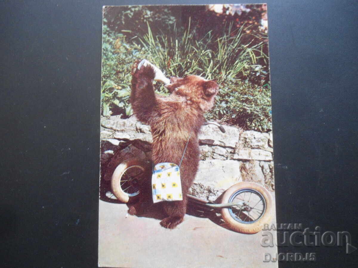 "Delicious!", Old Russian postcard "Delicious!", Old Russian postcard