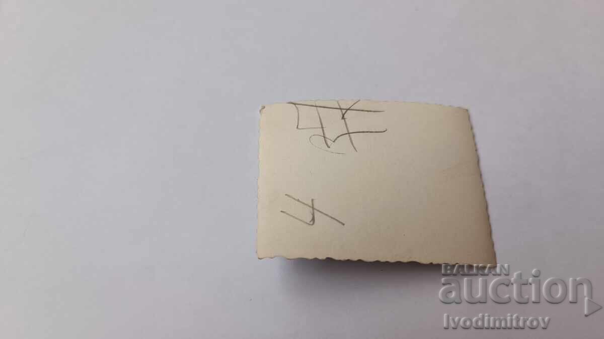 Photo of young people naked to the waist lying in a meadow with price 1.65 BGN | € 0.84 Photo of young people naked to the waist lying in a meadow with price 1.65 BGN | € 0.84