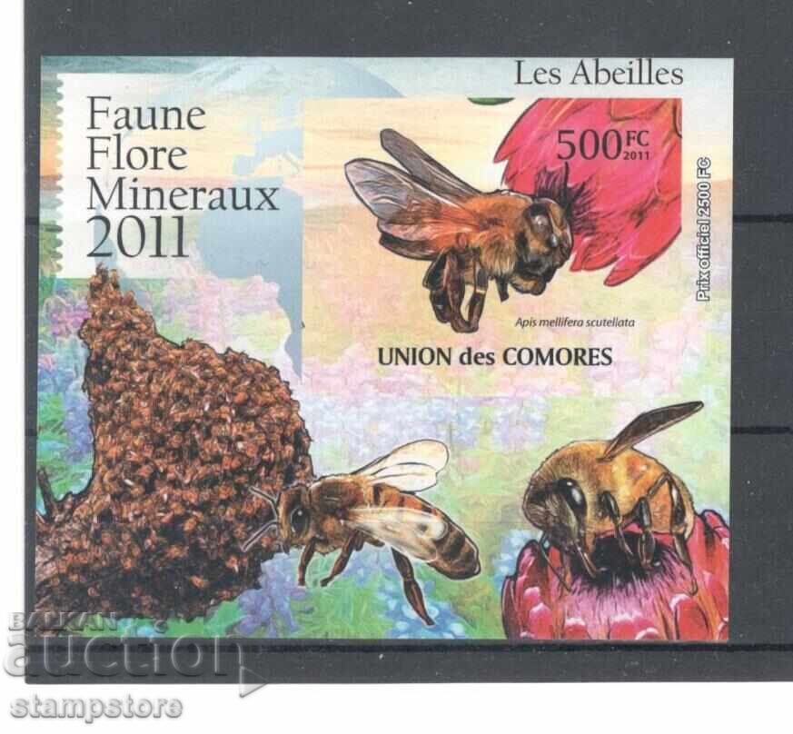 Comoros Islands - Bees