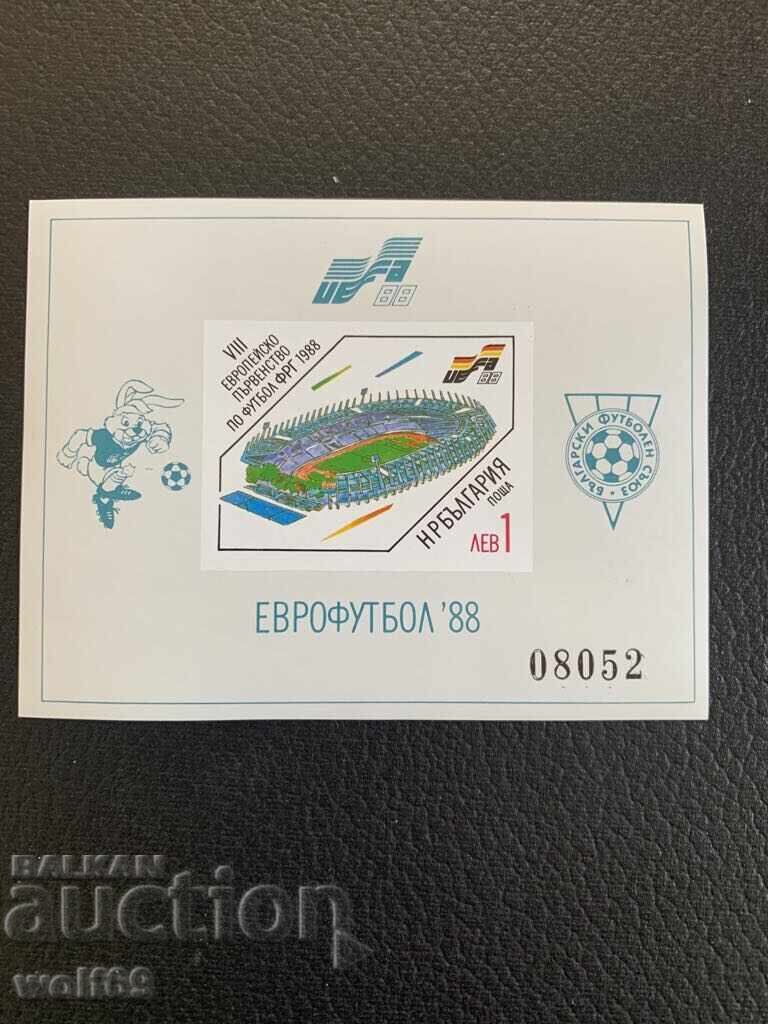 Μπλοκ, γραμματόσημα-VIII Ευρωπαϊκό Πρωτάθλημα Ποδοσφαίρου UEFA'88 (Γερμανία) χωρίς όνομα-1988.