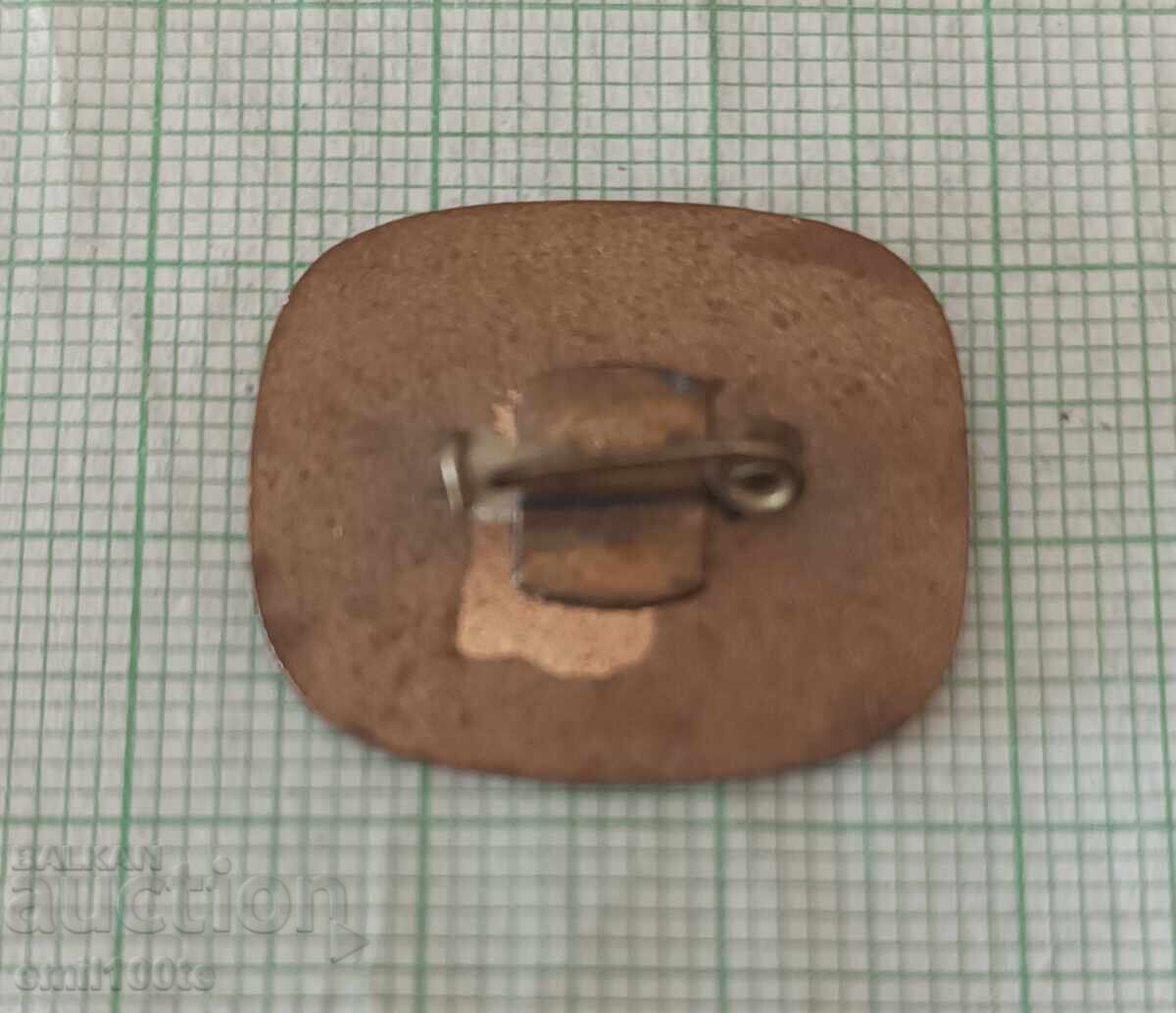 Badge - Shopski Holiday Elin Pelin - 5 Badge - Shopski Holiday Elin Pelin - 5