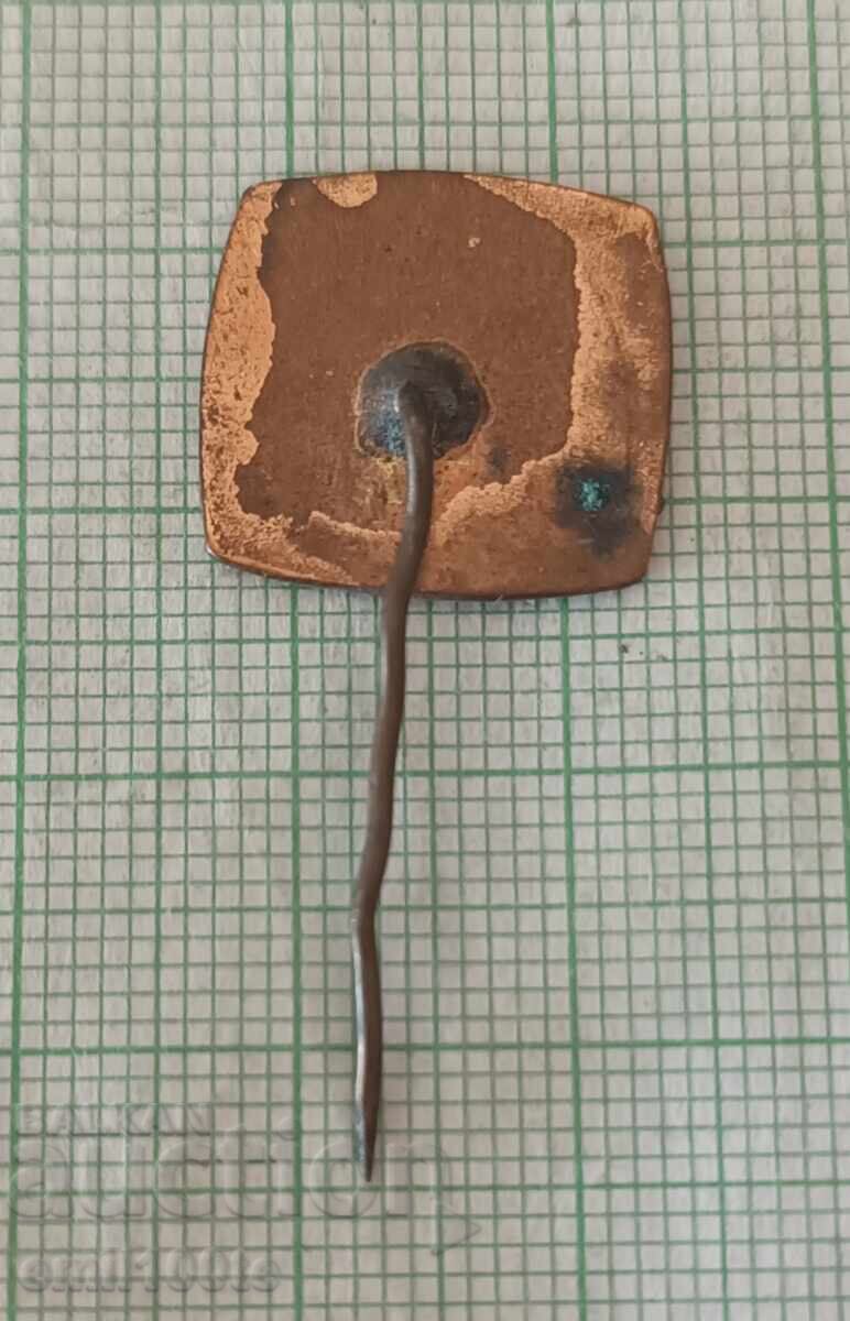 Delivery of Badge - BNT Bulgarian National Television Delivery of Badge - BNT Bulgarian National Television