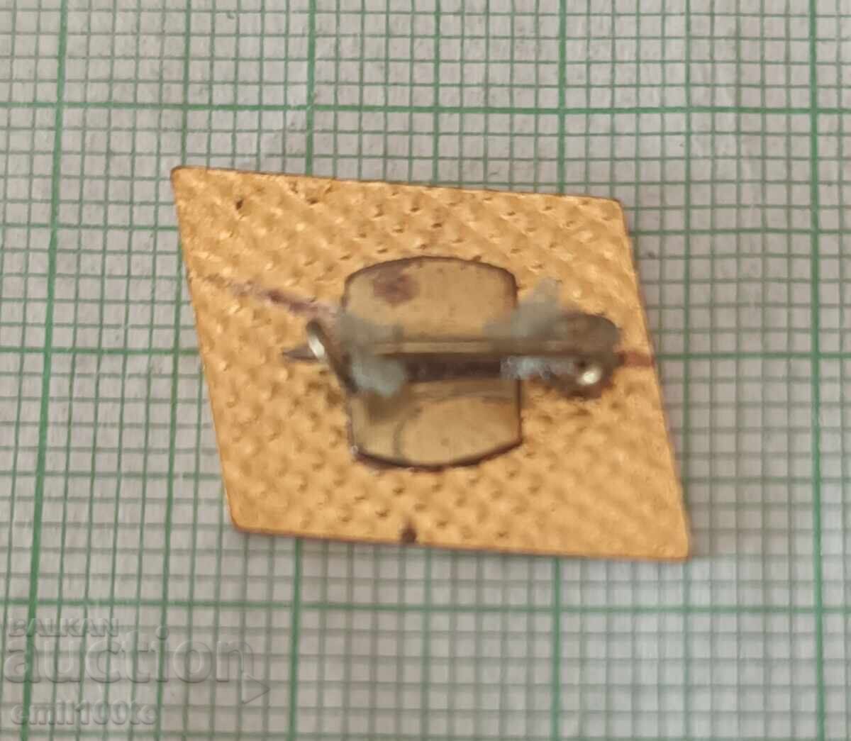 Delivery of Badge - SBZ Union of Bulgarian Journalists