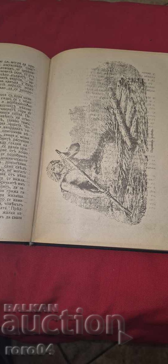 Auction PANORAMA OF THE CENTURIES - WEBER Auction PANORAMA OF THE CENTURIES - WEBER