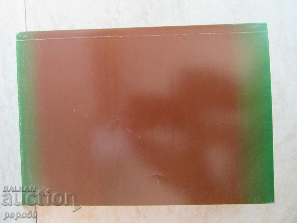 SOLDIERS OF THE FATHERLAND - Neli Tsoneva - 2007 - 6 SOLDIERS OF THE FATHERLAND - Neli Tsoneva - 2007 - 6