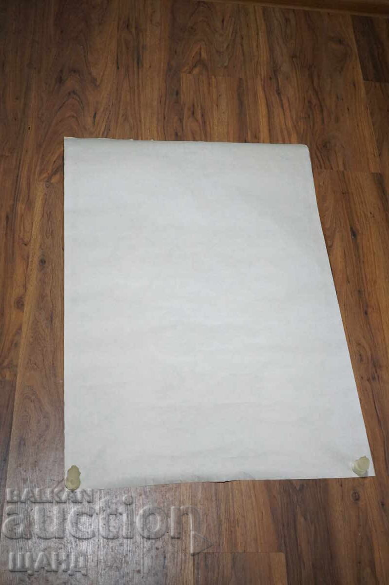 Licitație Afis original vechi Volkswagen Broscuță Alcool-Gospodinov Licitație Afis original vechi Volkswagen Broscuță Alcool-Gospodinov