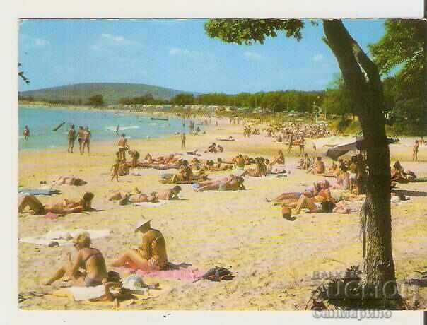 Card Bulgaria Primorsko Camping „Perla” 3 Plaja*