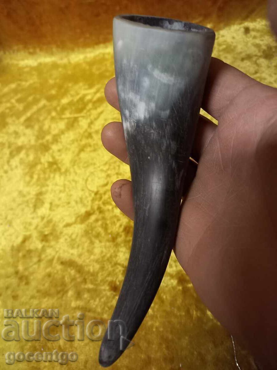 Natural horn - 6 Natural horn - 6