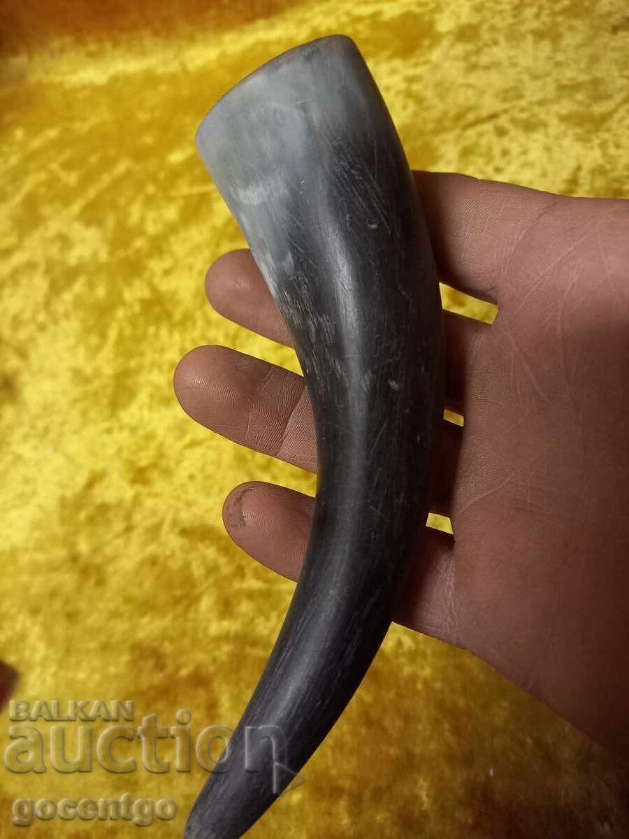 Natural horn - 7 Natural horn - 7