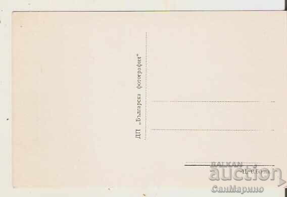 Map Bulgaria Batak - The Historical Church 9* with price 2.20 BGN | € 1.12