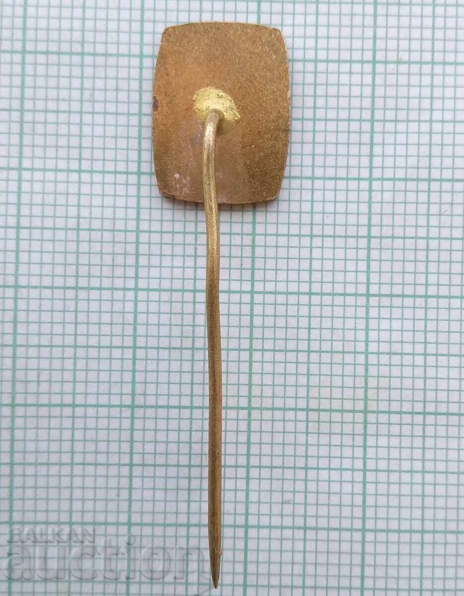 Auction 18466 Badge - Dukla - enamel Auction 18466 Badge - Dukla - enamel