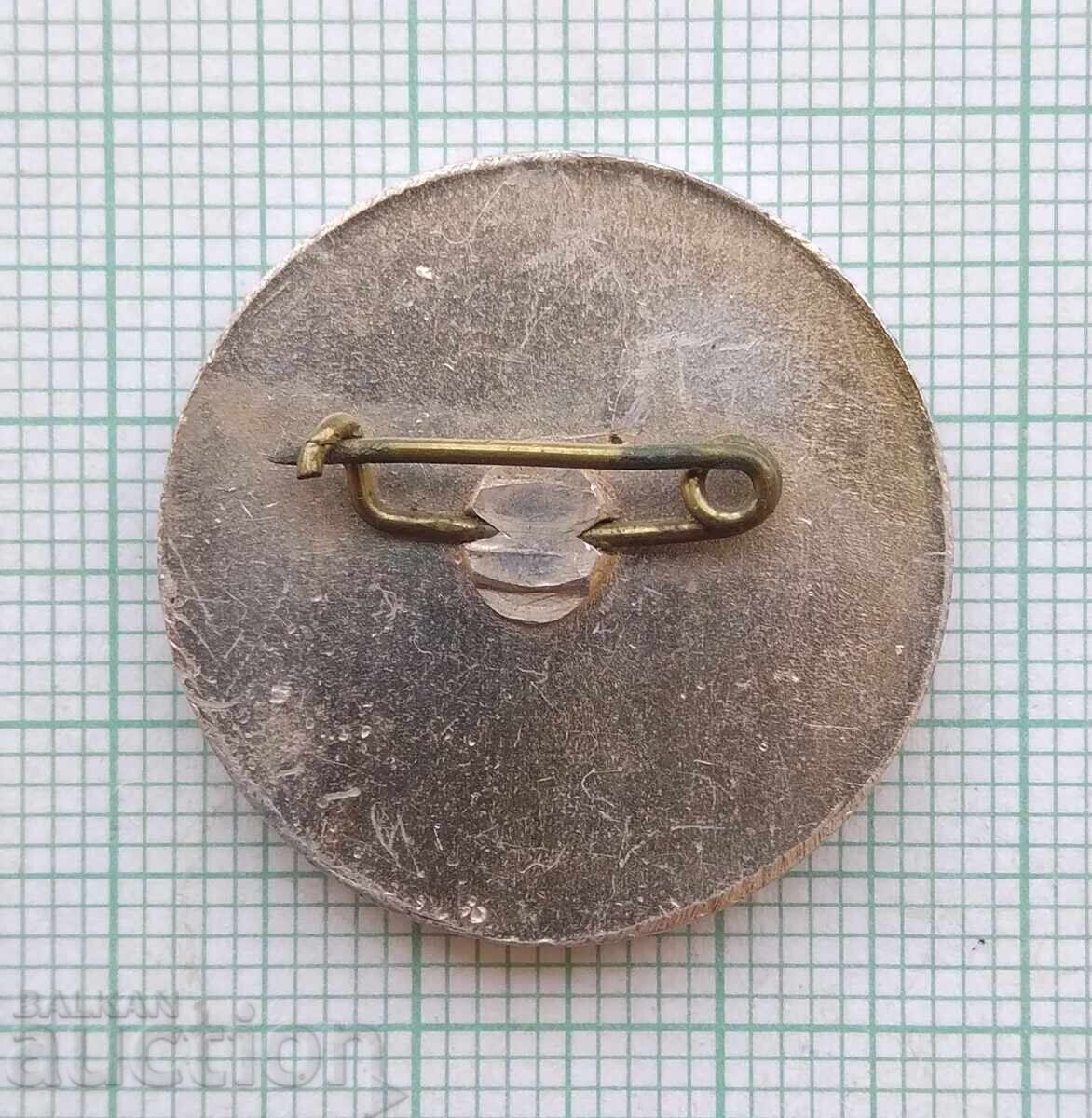 Auction 18472 Badge - Raina Princess Auction 18472 Badge - Raina Princess