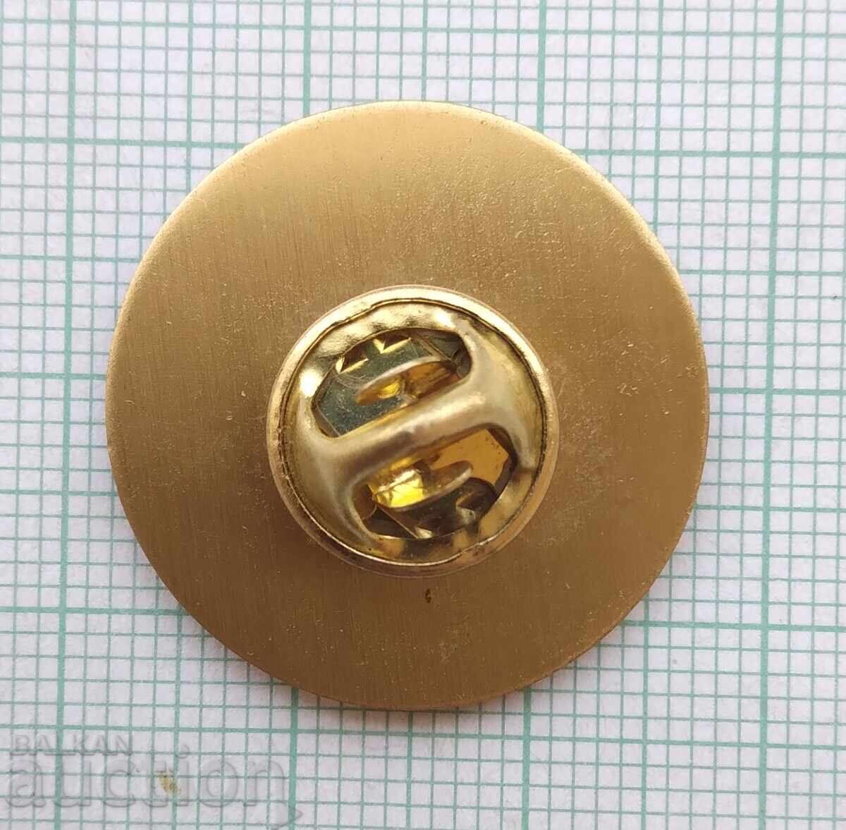 Auction  18475 Badge - Monterey Institute California USA