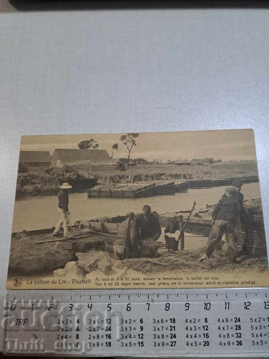 Old postcard - Professions - Workers