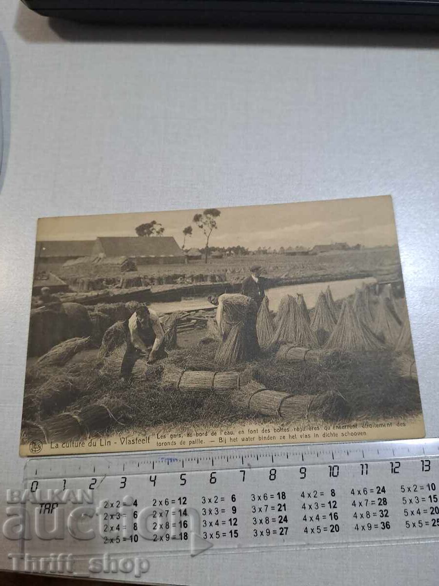 Old postcard - Professions - Workers Old postcard - Professions - Workers