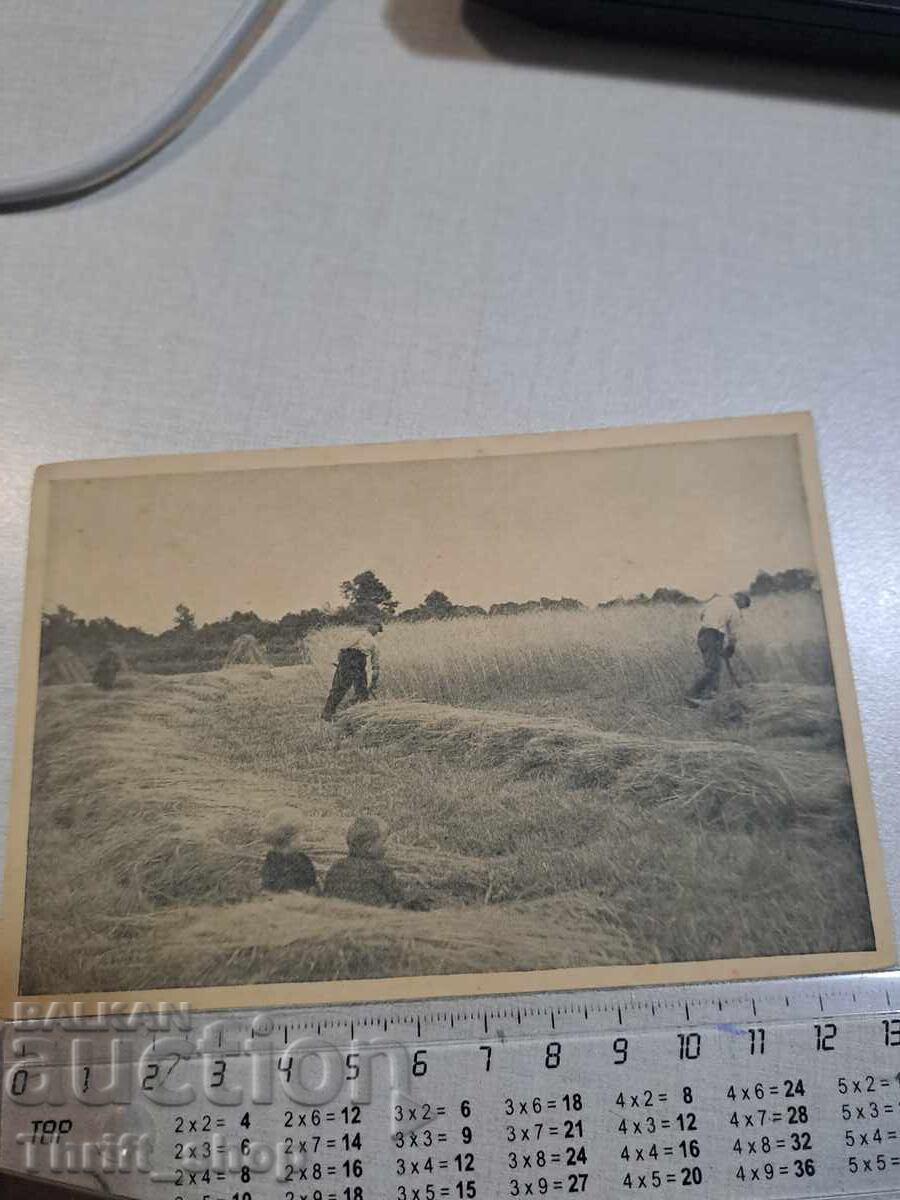 Old postcard - Workers Old postcard - Workers