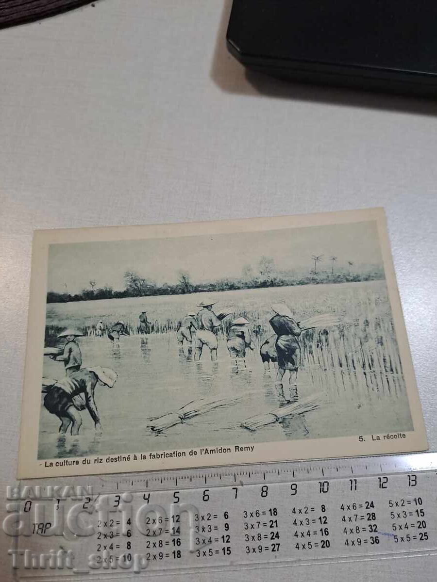 Old postcard - Workers Old postcard - Workers