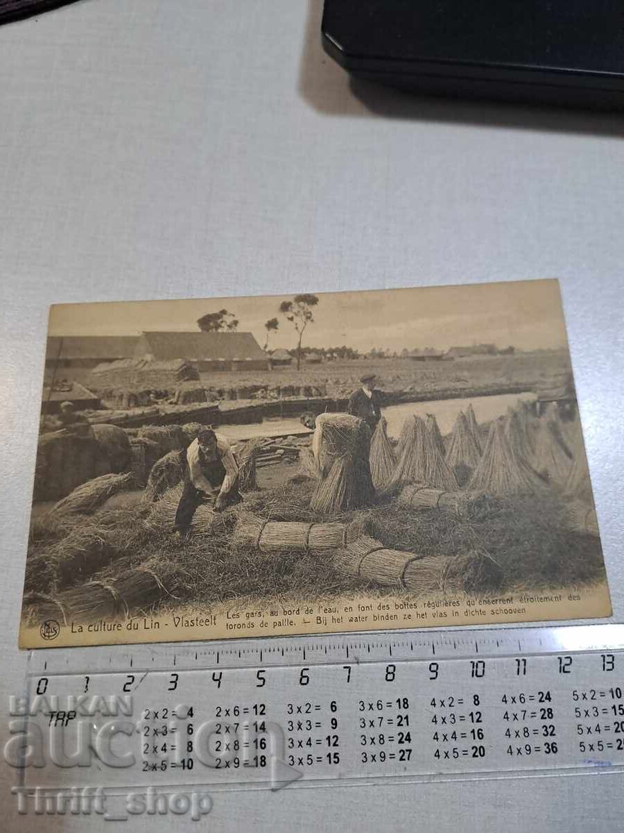 Carte poștală veche - Muncitori Carte poștală veche - Muncitori