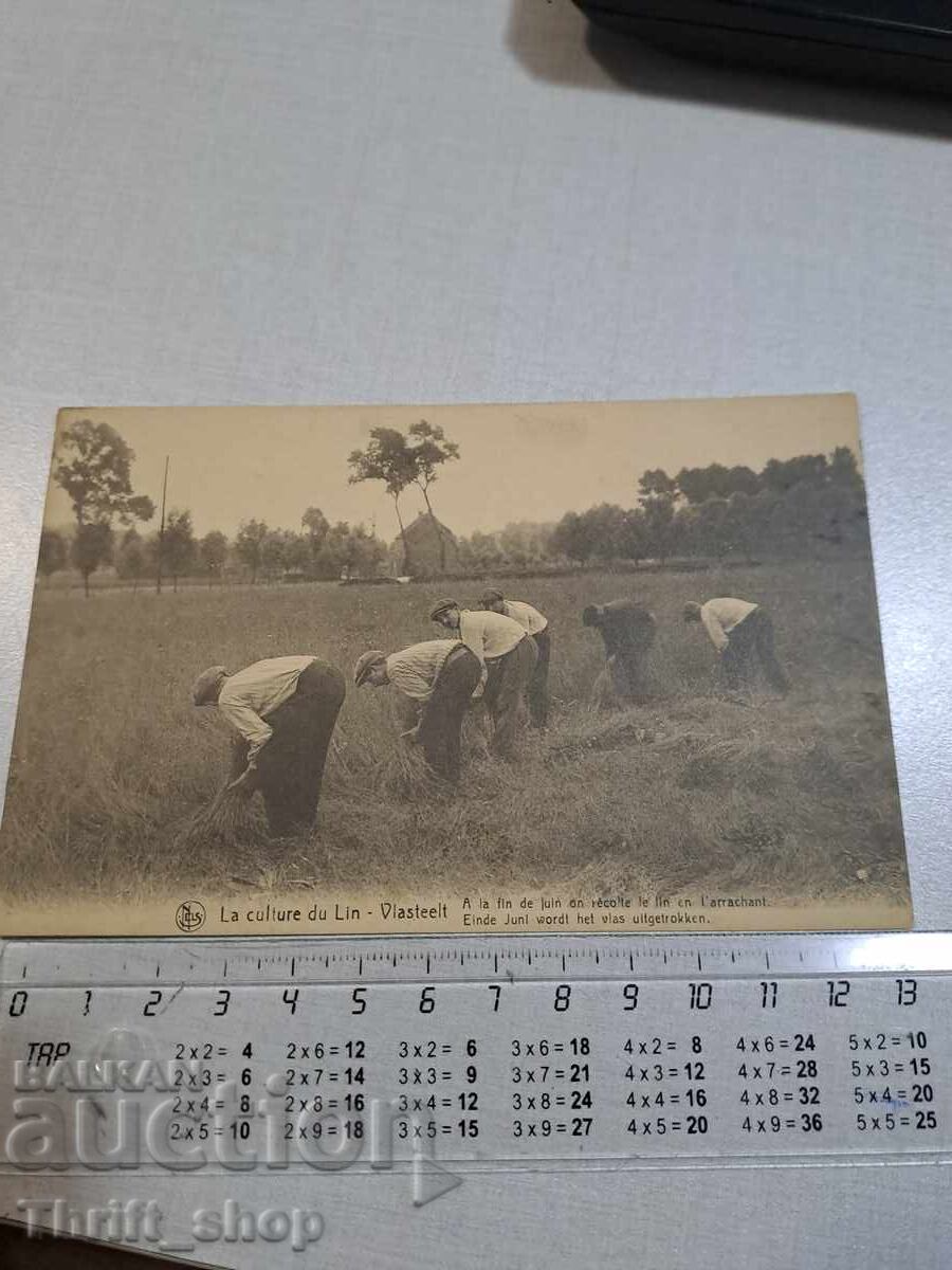 Carte poștală veche - Muncitori