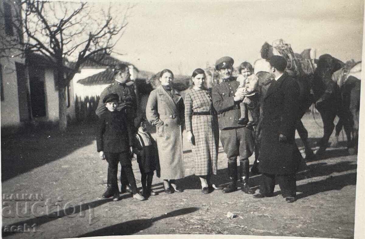 Auction Military Camel Convoy Camels Dobrudja Auction Military Camel Convoy Camels Dobrudja