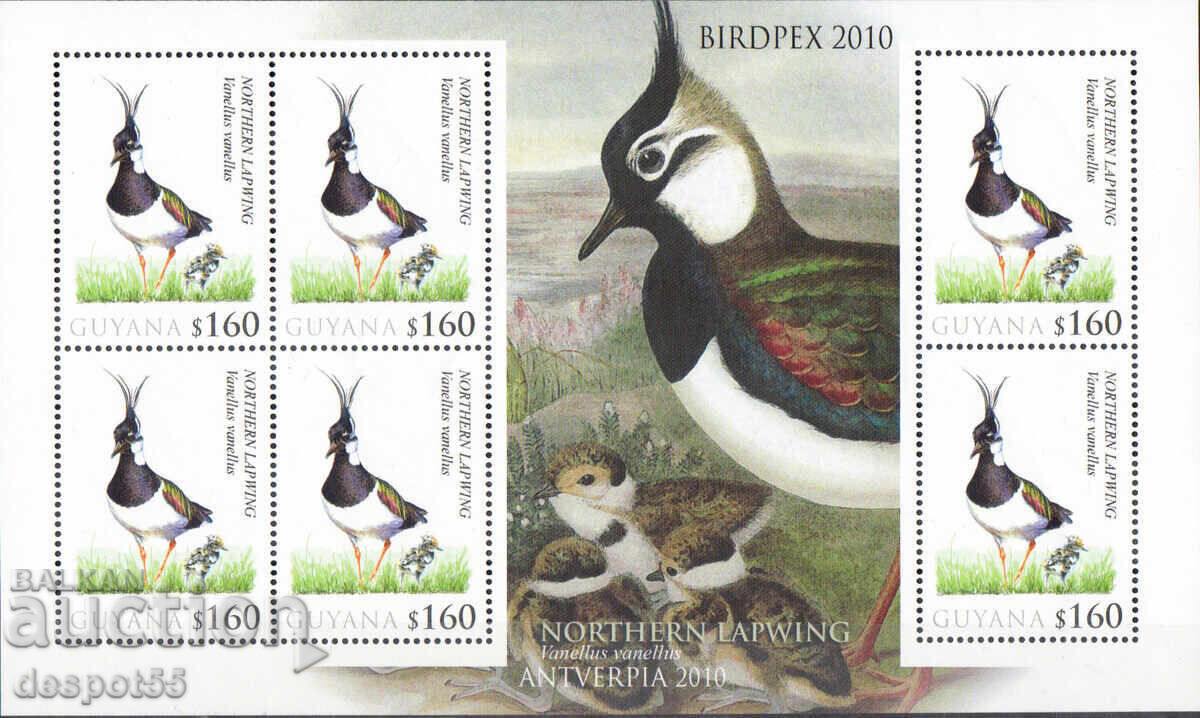 2010. Guyana. Păsări - Nunbird comună. Bloc.