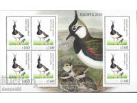 2010. Γουιάνα. Πουλιά - Κοινό Nunbird. Φραγμός.